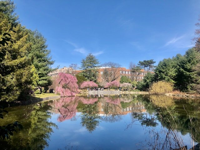 Brooklyn Botanic Garden